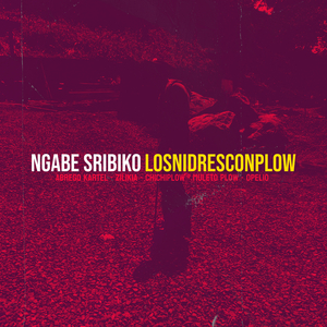 Ngabe Sribiko