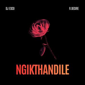 Ngikthandile (feat. Djy Esco)