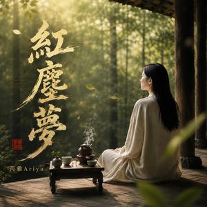 紅塵夢(台語歌)