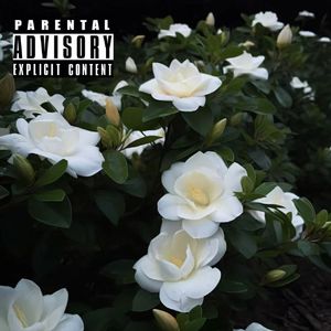 栀子花（永恒的爱）Produced by YUSENISHERE