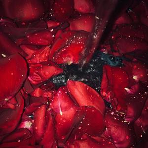 电电（prod by XVIBE）