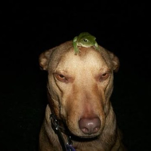 Young Metro (slowed)