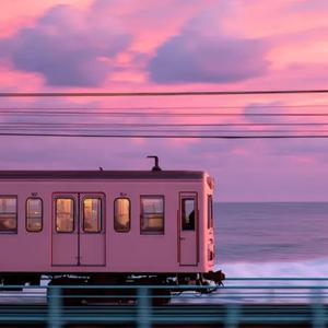 A Taxidermist in Kansas