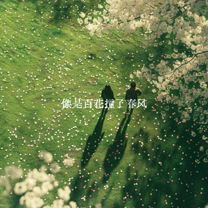 像是百花撞了春风