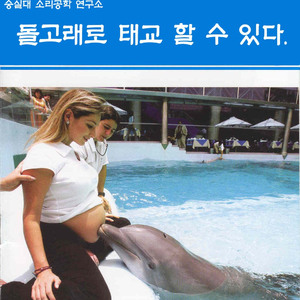 태교용 돌고래 음원