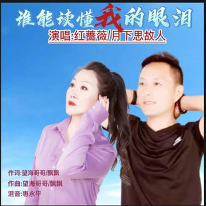 谁能读懂我的眼泪