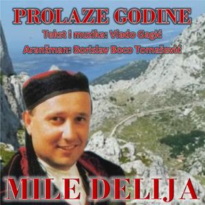 Prolaze godine (Mile Delija)