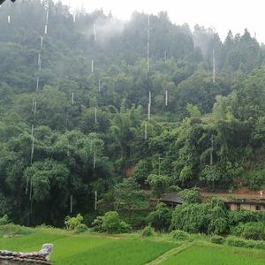 送别（原唱：朴树）