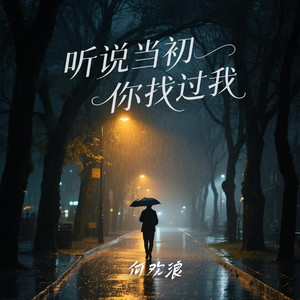 听说当初你找过我