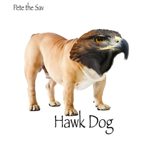 Lifin' out (feat. Chuct, Bombish, Pangea Pete & Dinostar)