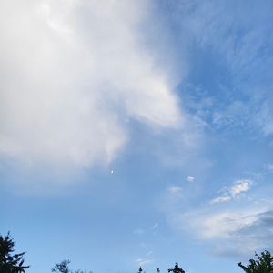 夏