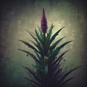 Toxic Flames by @orangeencore3185