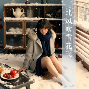 北风吹雪花飞