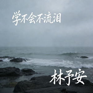 学不会不流泪