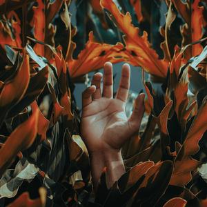 Where The Ocean Meets The Sky