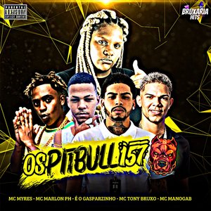 Os Pitbull 157