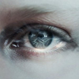 你在我的眼睛里看到了什么