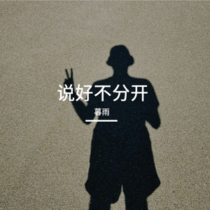说好不分开
