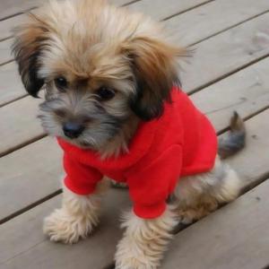 Best day ever (Nightcore Version)