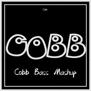 Subtronics-Booyah×Scream Saver(Cobb Mashup)