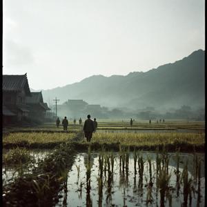 빼앗긴 들에도 봄은 오는가