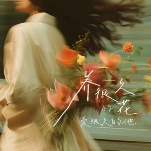 养很久的花 爱很久的她