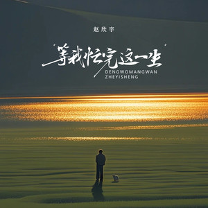 等我忙完这一生