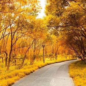 漂洋过海来看你_112815