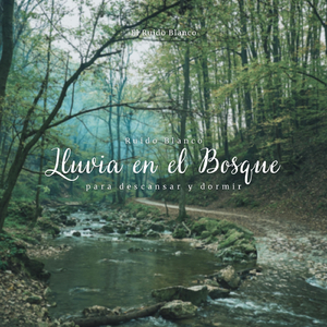 Ruido Blanco: Lluvia en el Bosque para Descansar y Dormir, Pt. 17