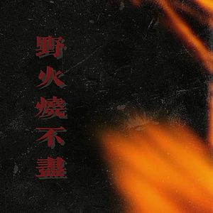 野火烧不尽