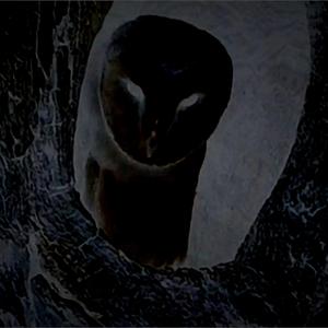 DESCONECTADOS (feat. YzK)