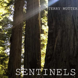 Sentinels (feat. Natalie Mutter & Sonny Bill Glover)