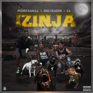 Izinja (feat. C4 & Odd Season)