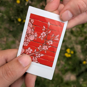 Little Scars (Taylor's Version)