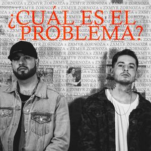 ¿Cual Es El Problema?