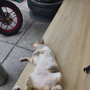 Meski Waktu (Acoustic)