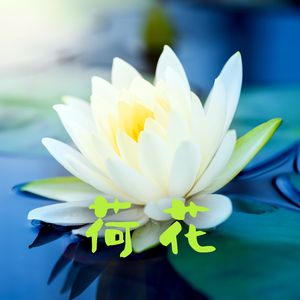 消除心中的忧虑