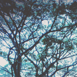 Kusume Rumal Kusme Rumal (Edit)