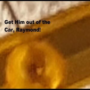Get Him out of the Car, Raymond!