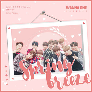 Spring Breeze（翻自 小碗）