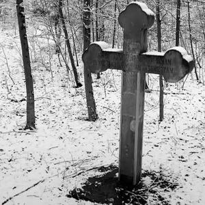 拥抱我 连同我的伤疤