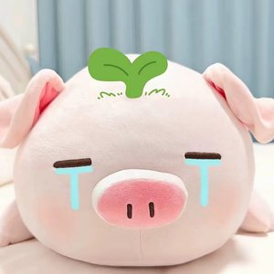沉沦与遐想