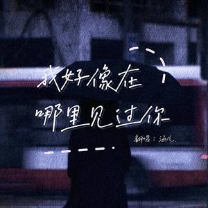 我好像在哪里见过你（弹唱抒情版）