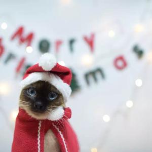 Rudolf The Red Nosed Reindeer