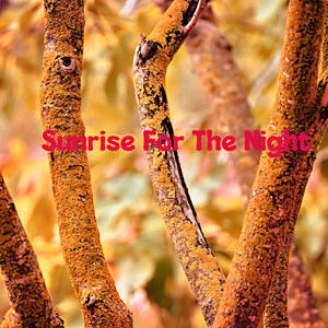 Sunrise For The Night