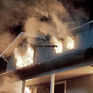 nerdesin