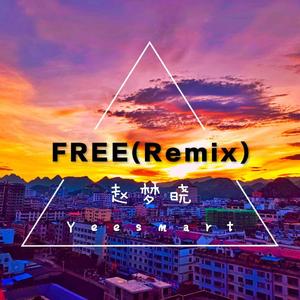 赵梦晓-free（yeesmarts remix）（yeesmarts remix）