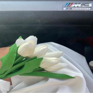 Onurhan & Masal (Kalabalıkta kalmışsın)