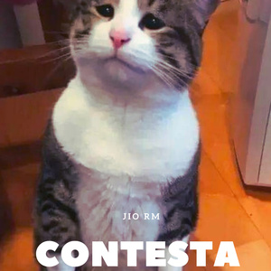 Contesta!