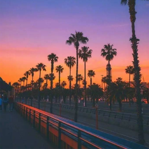 阿尔法脑波摇篮曲（八音盒）